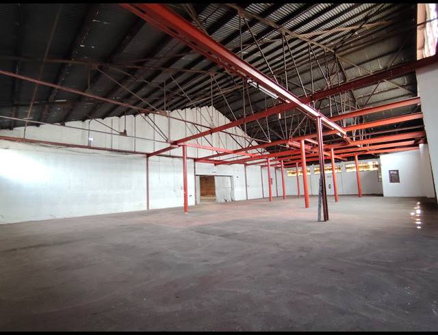 1,500M² WAREHOUSE TO LET IN DRIEHOEK